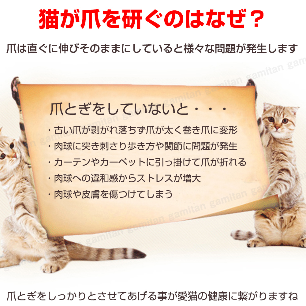 猫 爪とぎ 爪研ぎ 爪磨き ネコ ねこ いたずら防止 ケア用品 おもちゃ ストレス発散 気分転換 ダンボール 2個 セット お得 _画像3