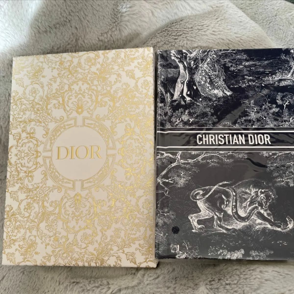 Dior ディオール　ノベルティノート２冊　巾着