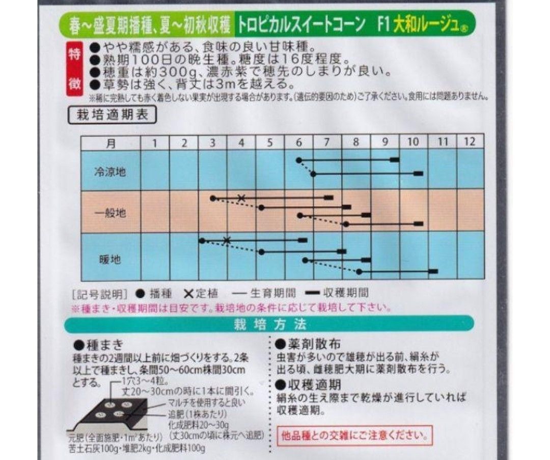 【5本】大和ルージュ トロピカルスイートコーン 赤いとうもろこし 苗 大和農園