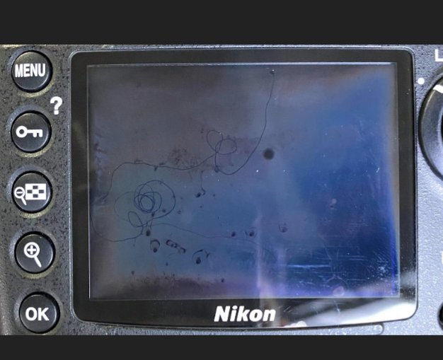 【訳あり品】 Nikon デジタル一眼レフカメラ D700 ボディの画像6