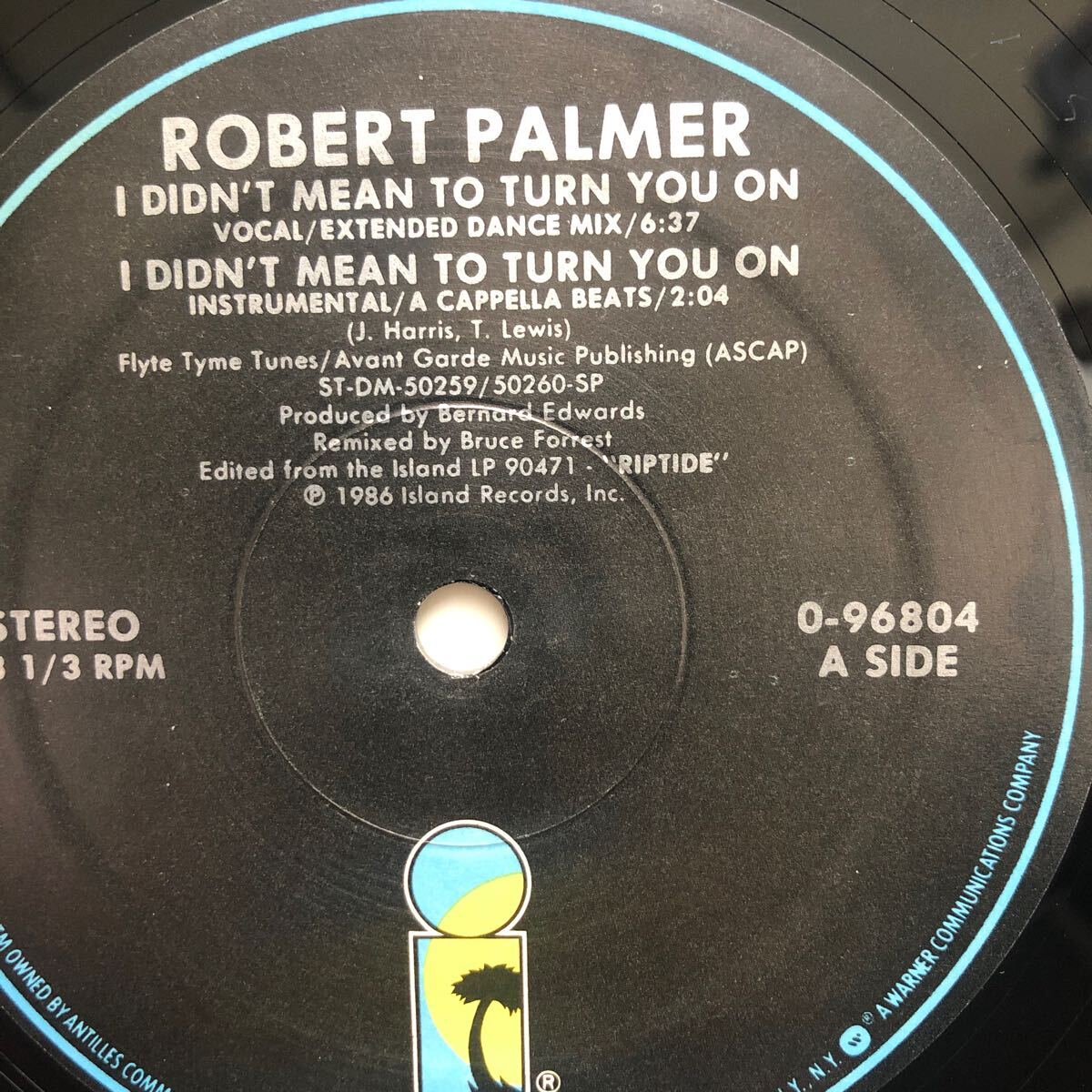 12’ Robert Palmer-I didn’t me to turn you on_画像2