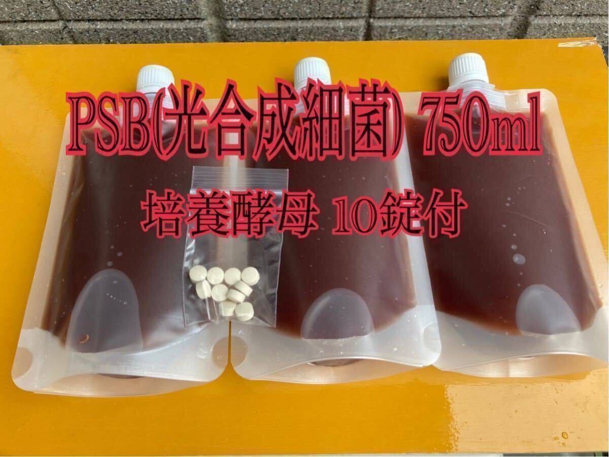 PSB(光合成細菌) 750ml 培養酵母10錠付【送料無料】2