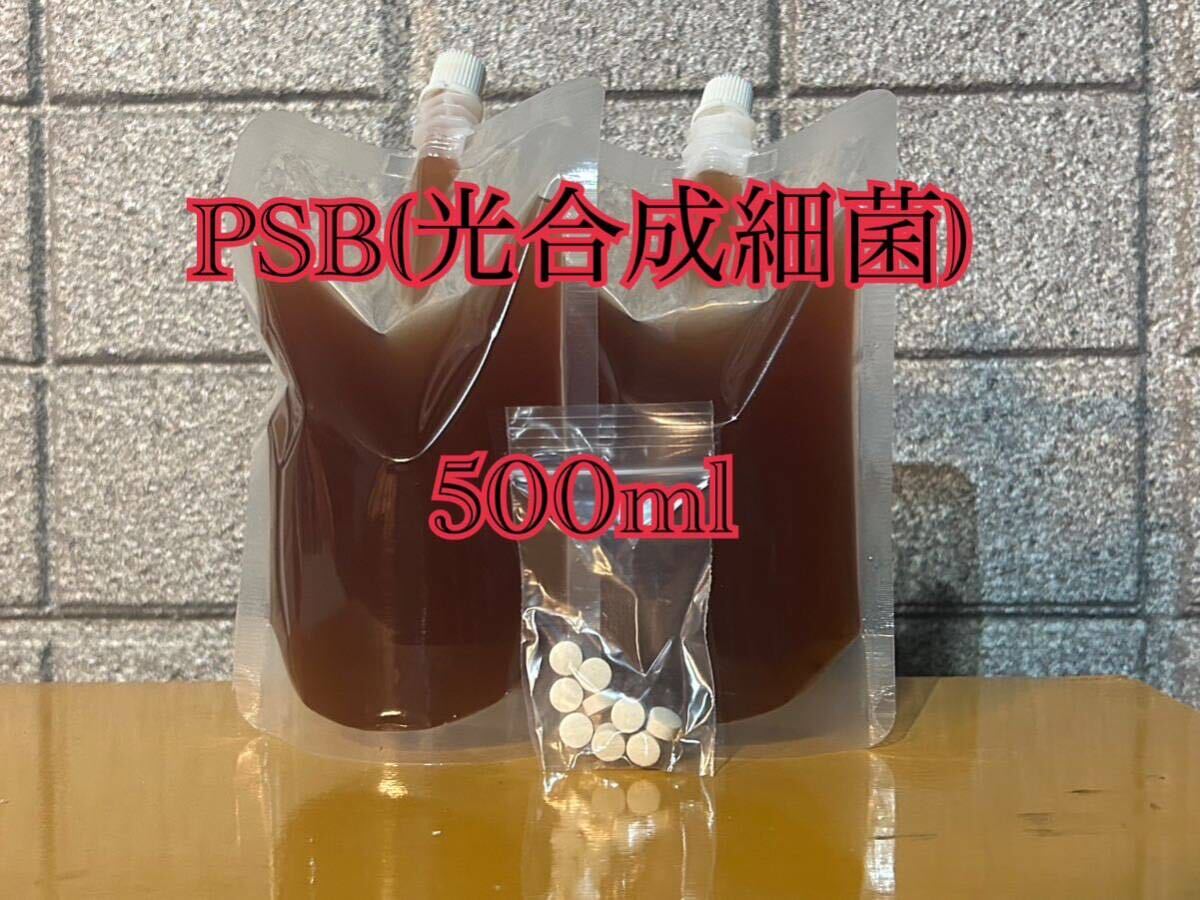 PSB(光合成細菌) 500ml 培養酵母10錠付【送料無料】8