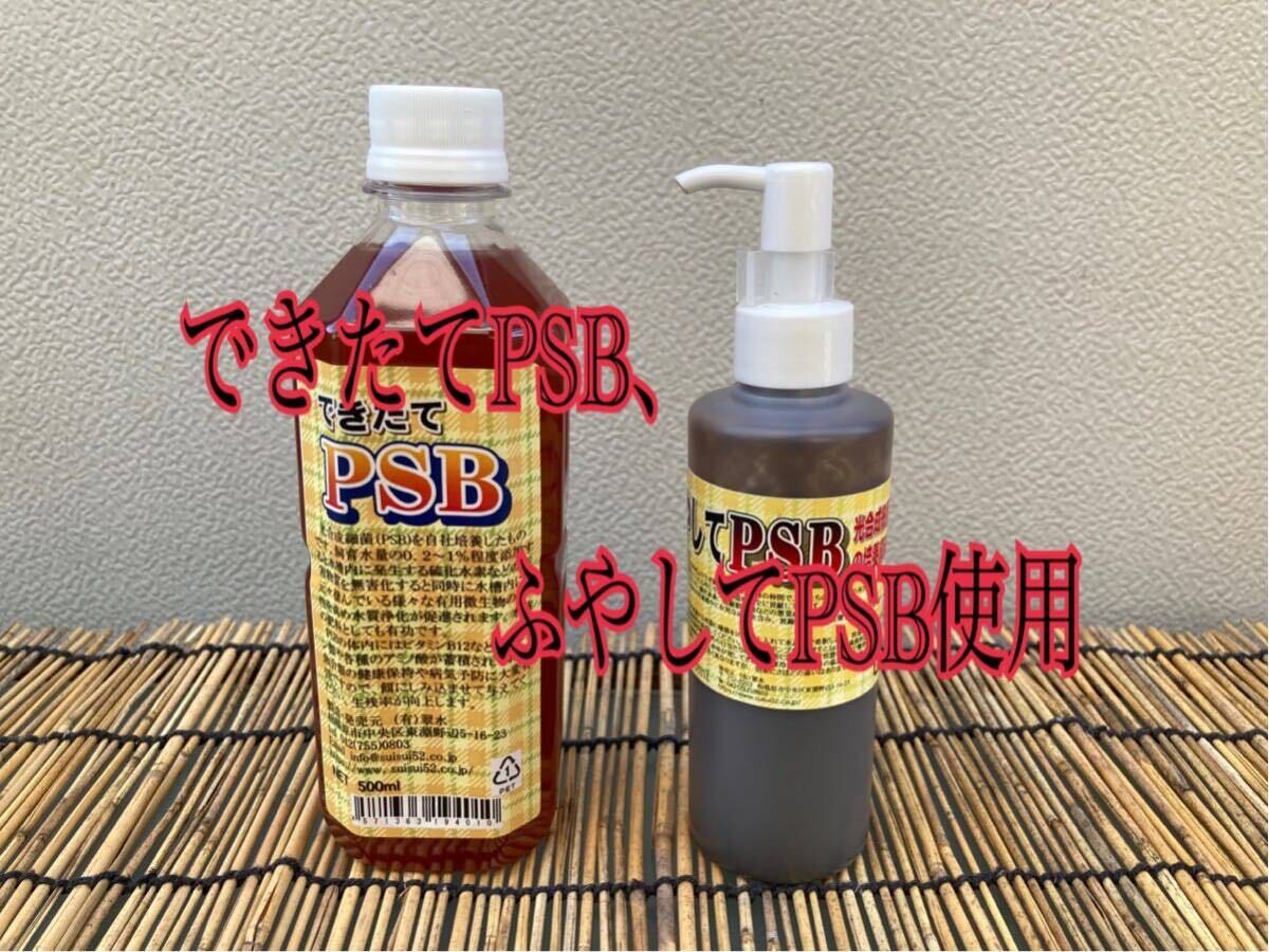 PSB(光合成細菌) 500ml 培養酵母10錠付【送料無料】10