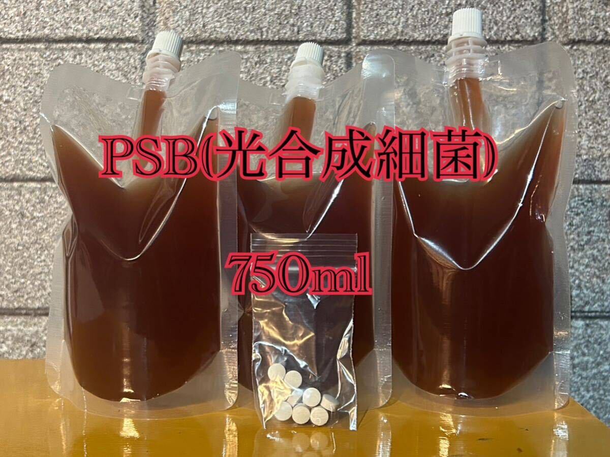 PSB(光合成細菌) 750ml 培養酵母10錠付【送料無料】10_画像1