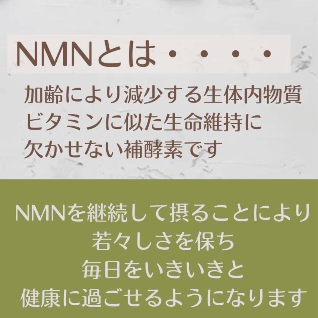 在庫処分　最終値下げ　賞味期限年内　NMNサプリ　NMNPLATINUM　4袋_画像4