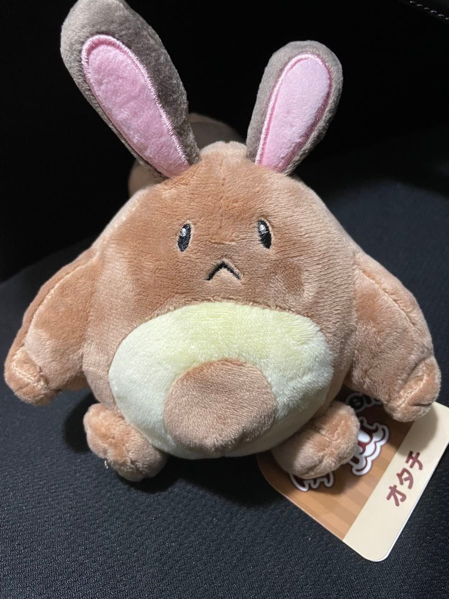 タグ付き 完売品 お値下げ不可 ポケモンセンター オオタチ タグ付き 完売品 お値下げ不可 ポケモンセンター オオタチ