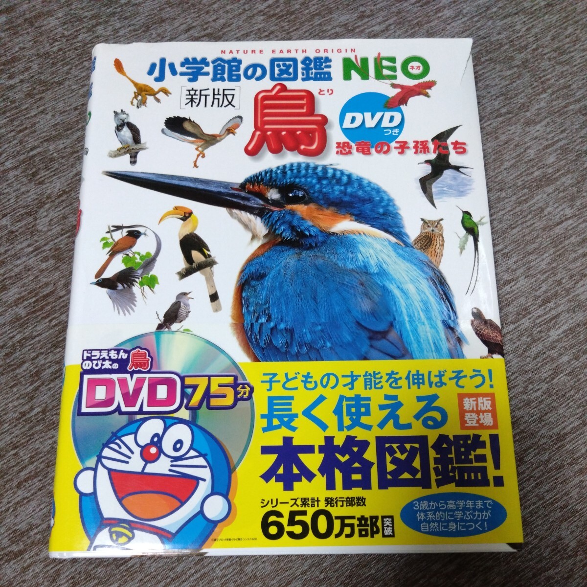 小学館の図鑑NEO 新版　鳥　児童書 絵本 学習　DVD付き_画像1