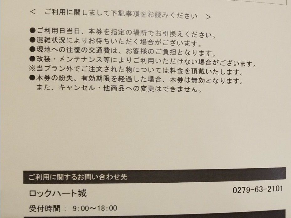 ロックハート場　入場チケット　2名分◎　お声がけで50円お値引きします！