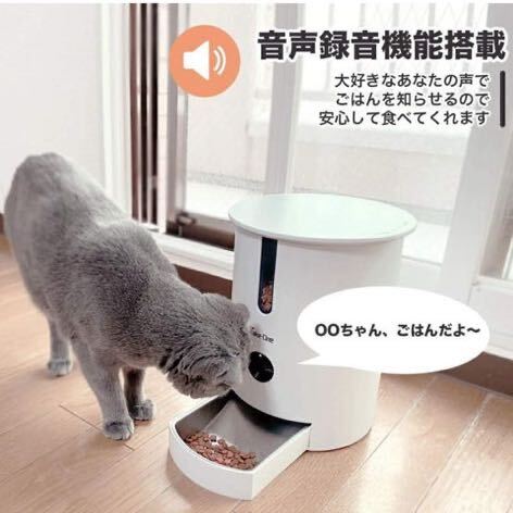 【 新品 未開封 】 P1 テイクワンテクノロジー Take One P1 ペット 自動給餌機 犬 猫 スマホ遠隔操作対応 夜間対応 カメラ付