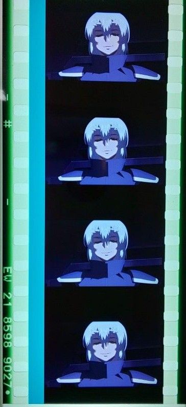 機動戦士ガンダムSEED FREEDOM 入場者プレゼント コマフィルム 機動戦士ガンダムSEED FREEDOM 入場者プレゼント コマフィルム