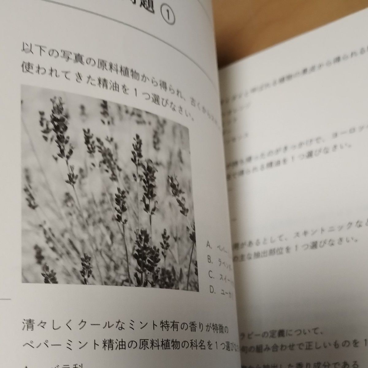 アロマテラピー検定 公式問題集 1級2級 2020年6月改訂 (公益社団法人 日本アロマ環境協会) 