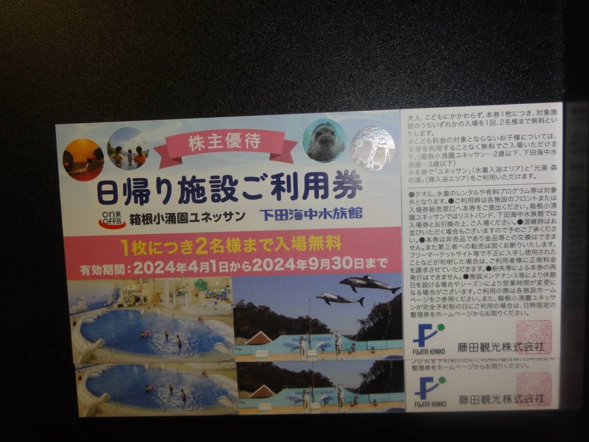 【普通郵便送料無料】藤田観光　日帰り施設ご利用券　2枚セット　～2024/9/30　１枚につき２名まで無料　ユネッサン、下田海中水族館_画像1