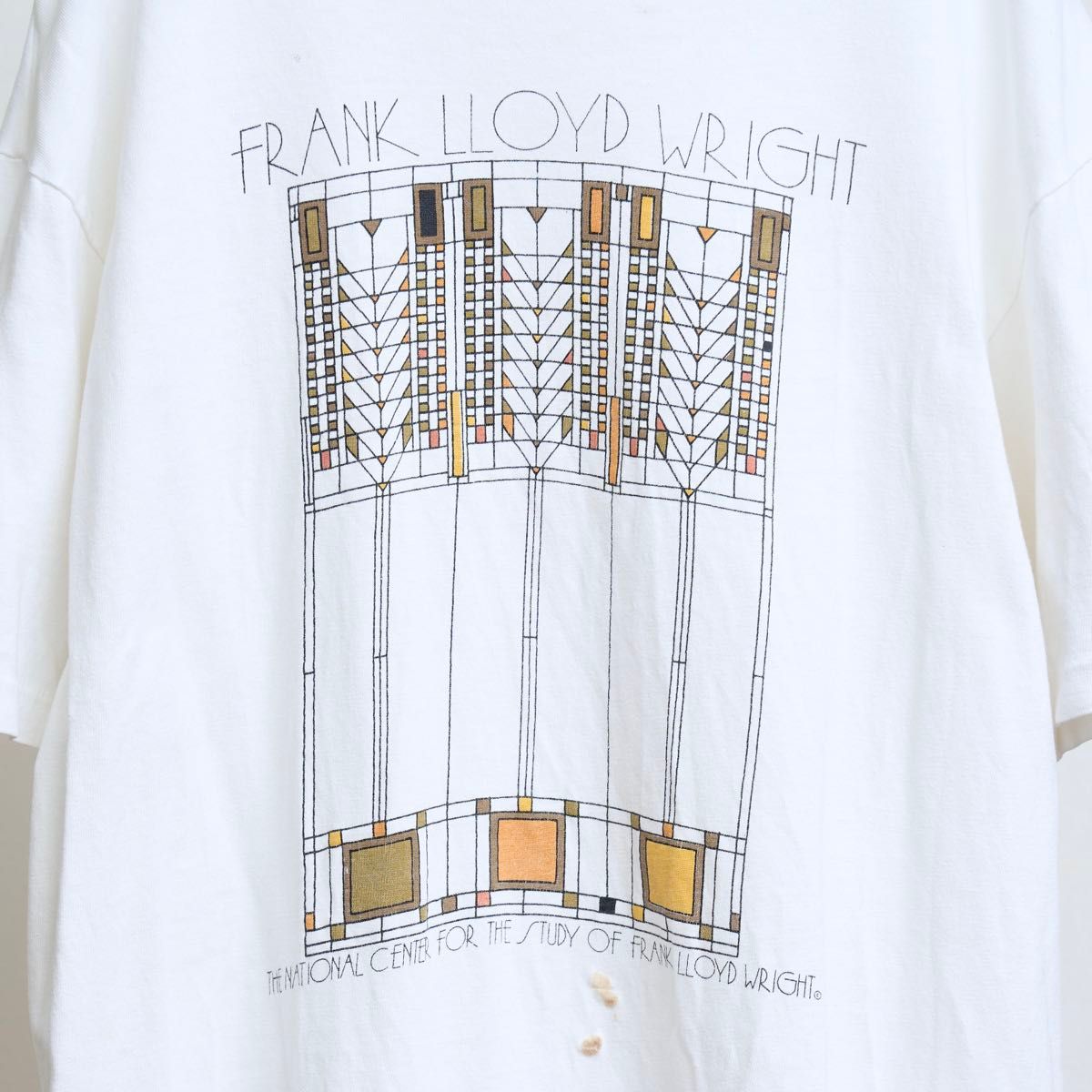 1980s Frank Lloyd Wright VINTAGE Tシャツ