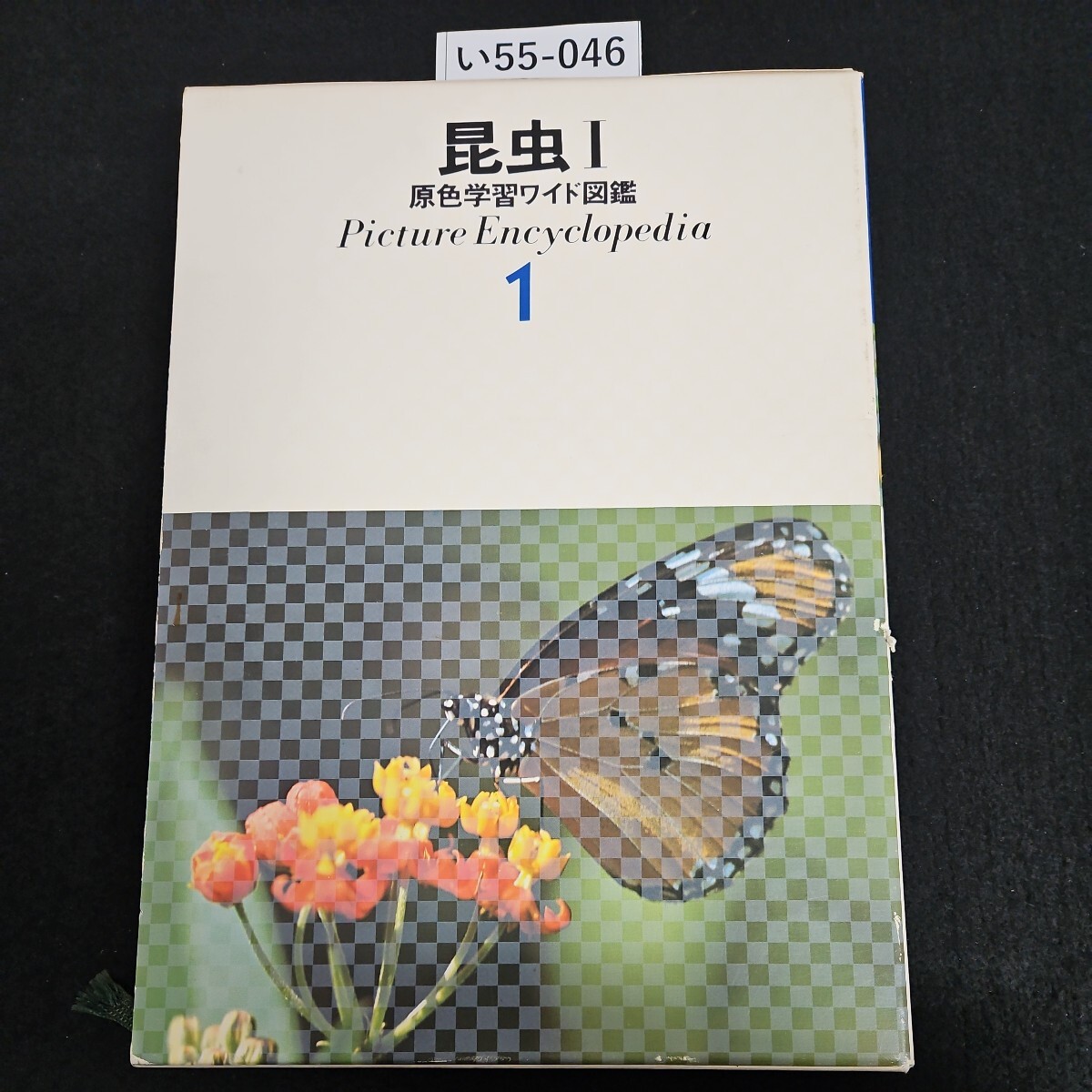 い55-046 昆虫 I 原色学習ワイド図鑑 Picture Encyclopedi a 1 - 図鑑 い55-046 昆虫 I 原色学習ワイド図鑑 Picture Encyclopedi a 1 - 図鑑