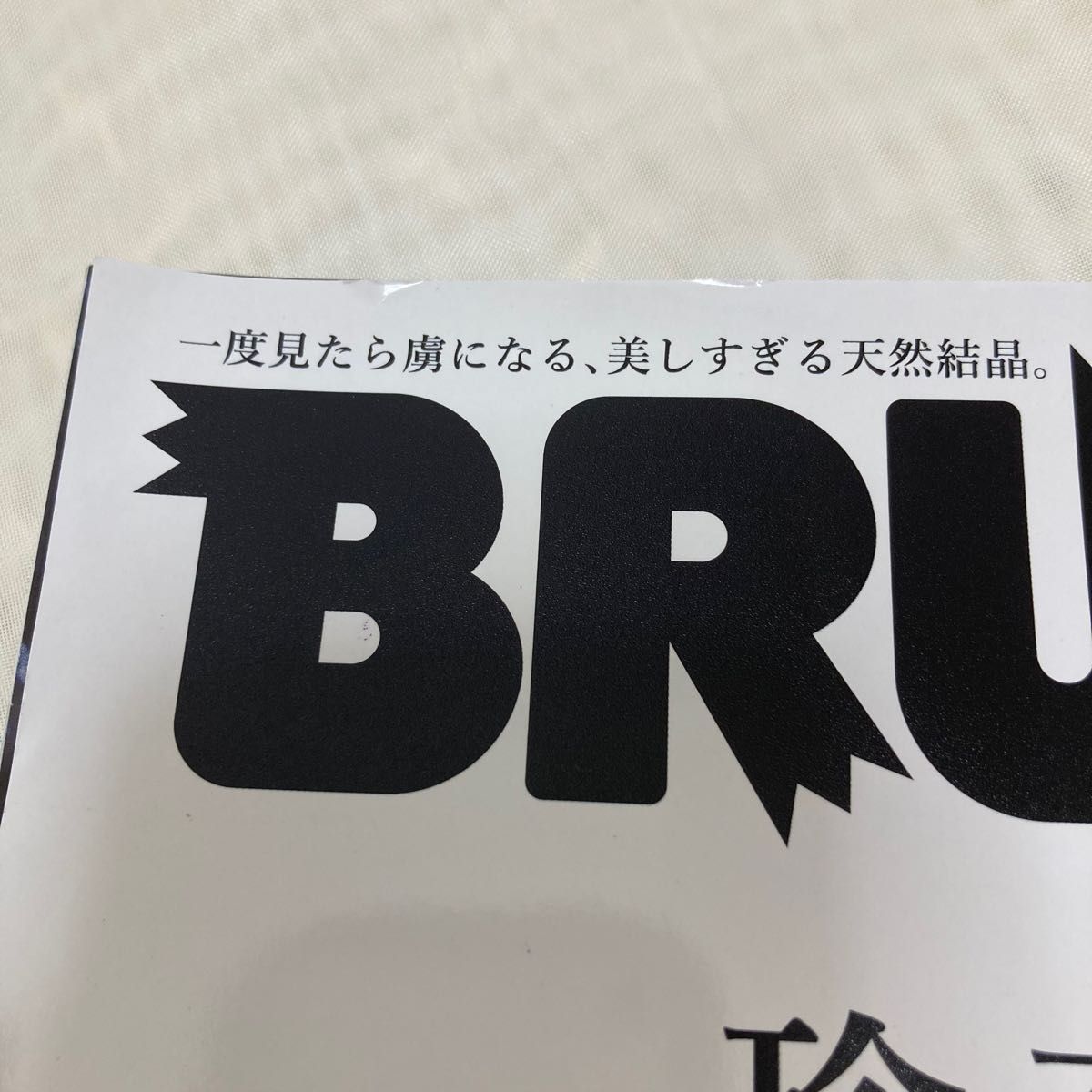 BRUTUS ブルータス　珍奇鉱物　2022年6月号　No.963