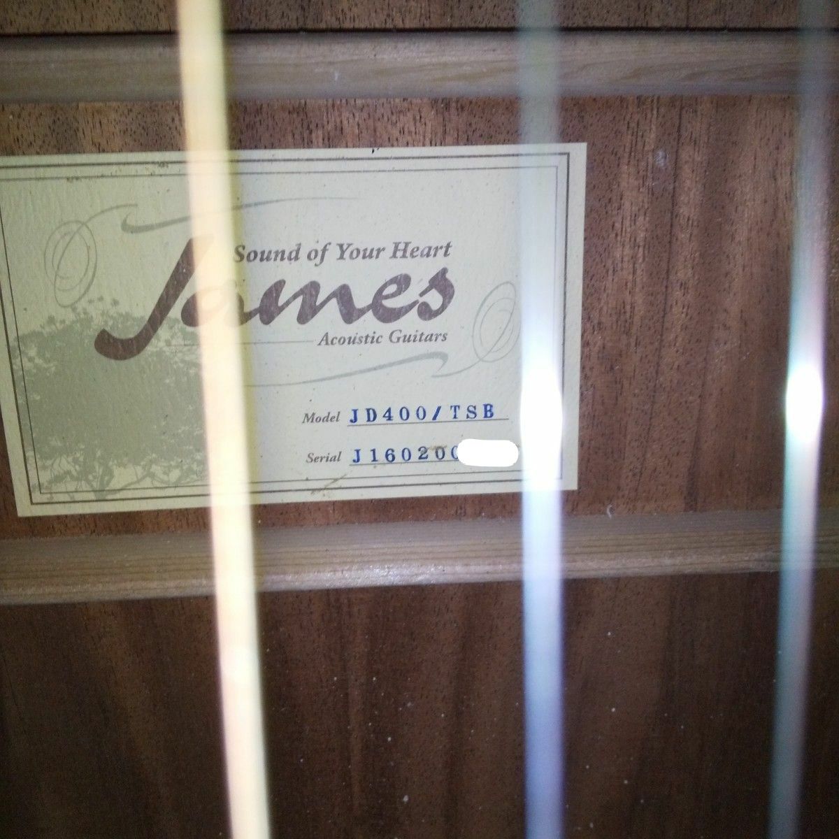 James JD400 TSB  アコースティックギター