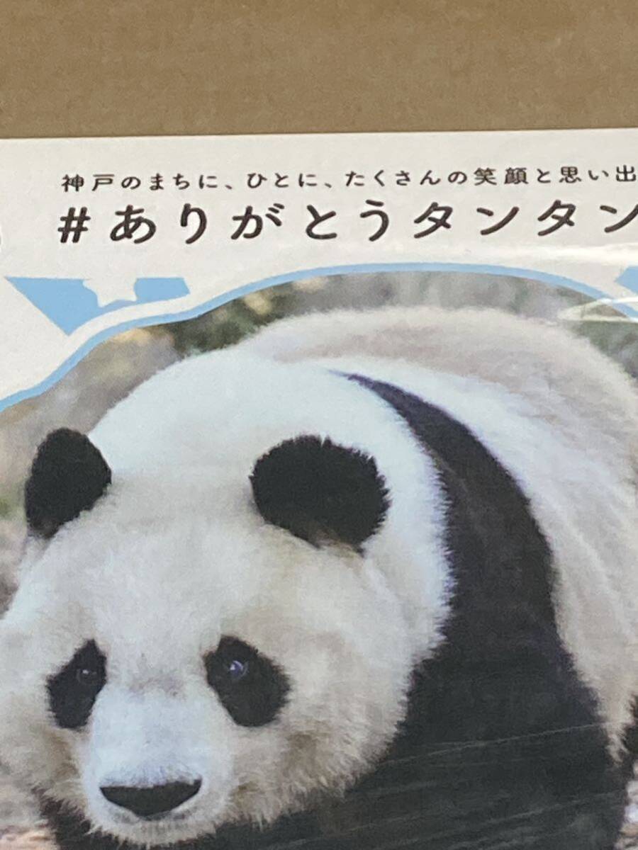 激レア　ありがとう タンタン　数量限定　ポストカード　令和3年　2021年　神戸市立王子動物園 ジャイアントパンダ 旦旦　パンダ_画像1