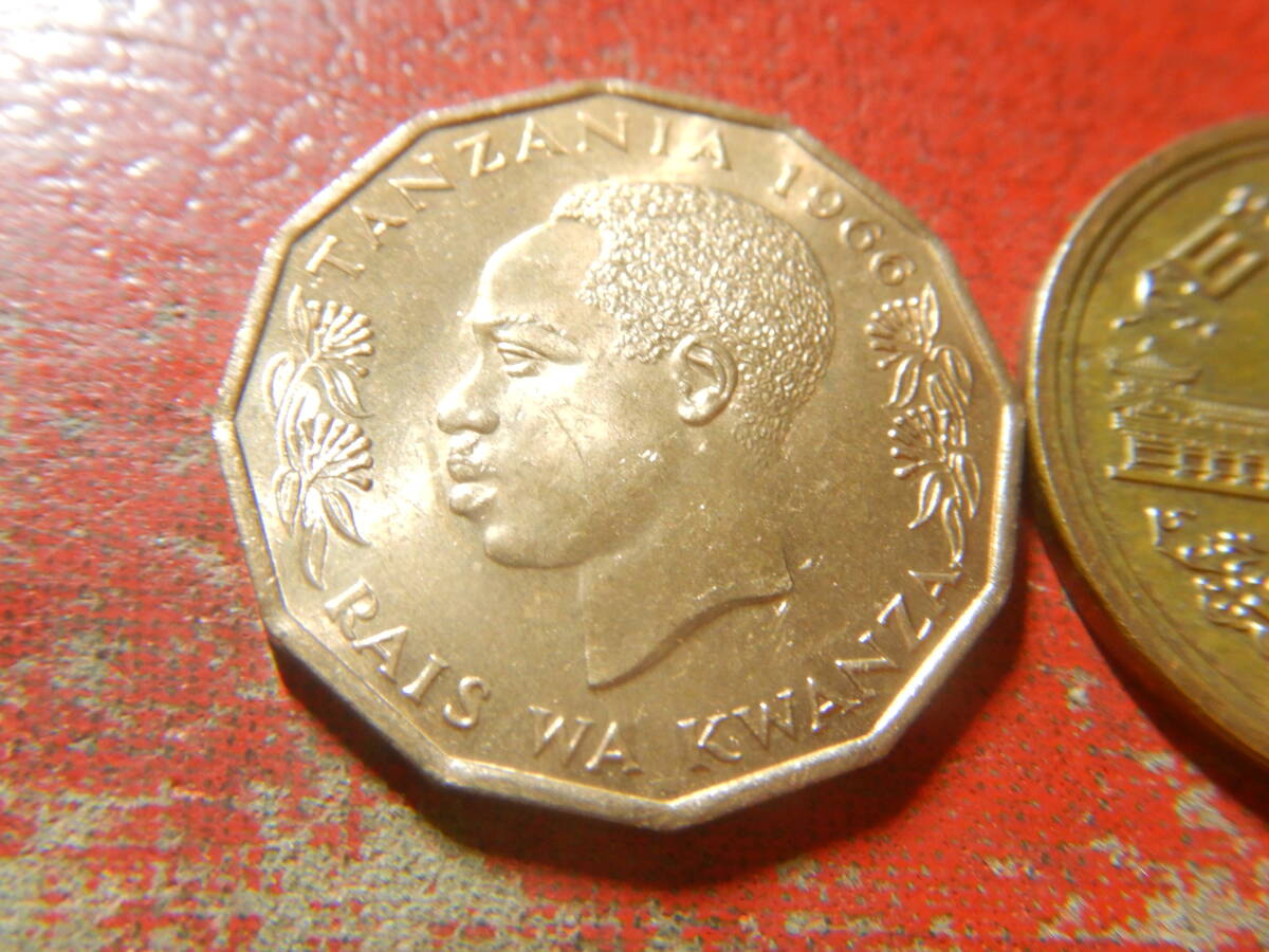 外国・タンザニア／５センチ青銅貨（1966年）　240512_画像4