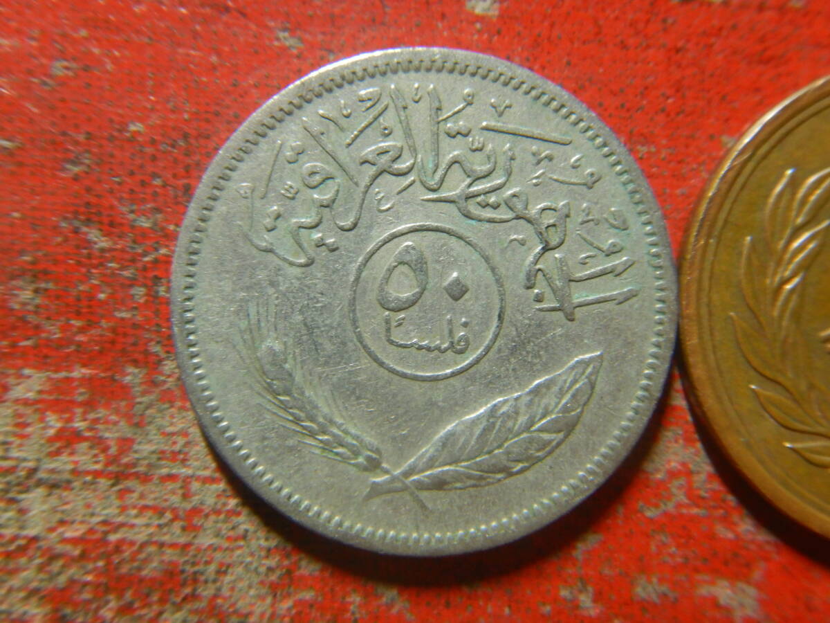 外国・イラク／５０フィルス白銅貨（1969年）　240516_画像2