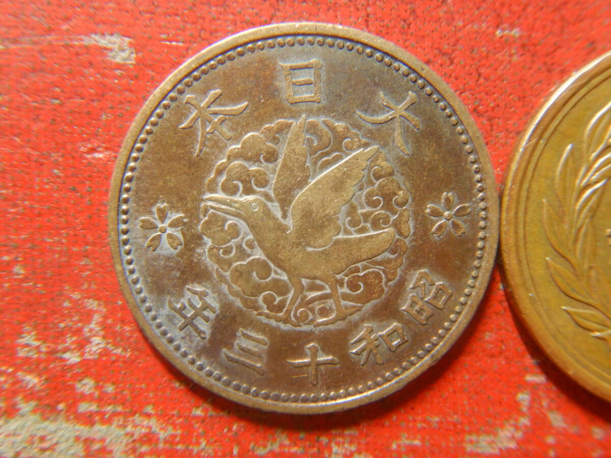 近代銭／カラス１銭黄銅貨（昭和１３年）　240516_画像1