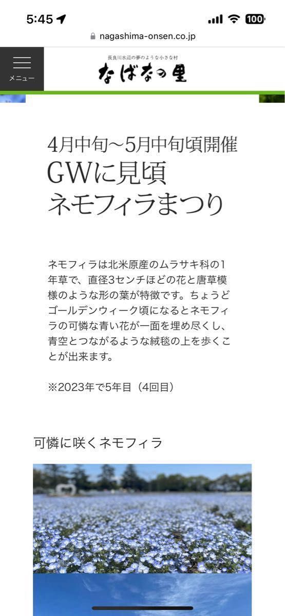 最終値下げ＊3枚！即日発送【追跡あり】なばなの里&ベゴニアガーデンチケット