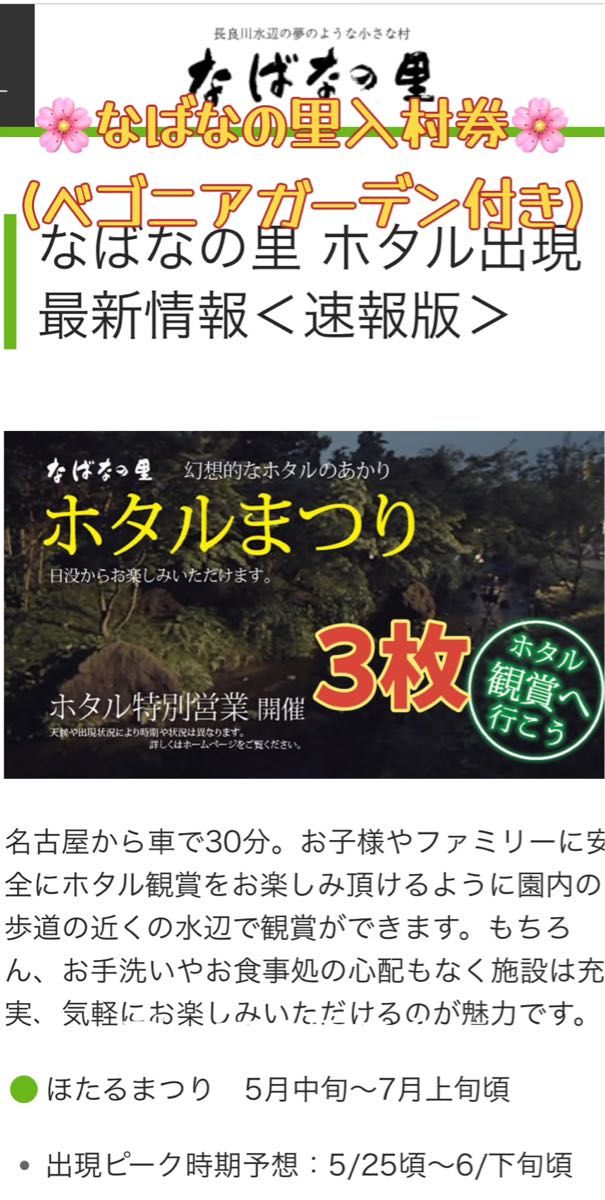 最終値下げ＊3枚！即日発送【追跡あり】なばなの里&ベゴニアガーデンチケット