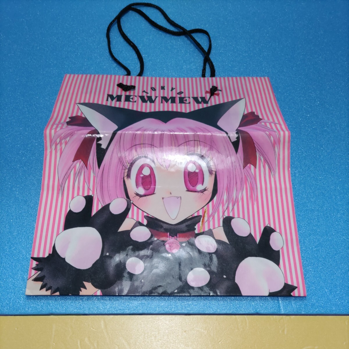  young lady manga [ Nakayoshi ] appendix set ( rose seal, Note, pocket photo album, triangle paper bag, paper bag, Mini memory )