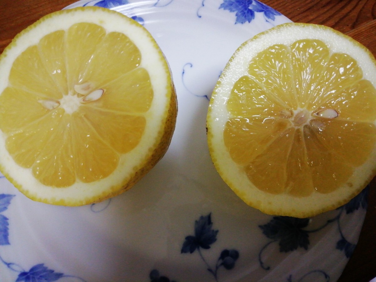 和歌山産　レモン　家庭用 大きさ色々 約９㎏ _画像9