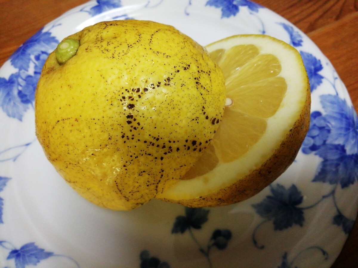 和歌山産　レモン　家庭用 大きさ色々 約９㎏ _画像8