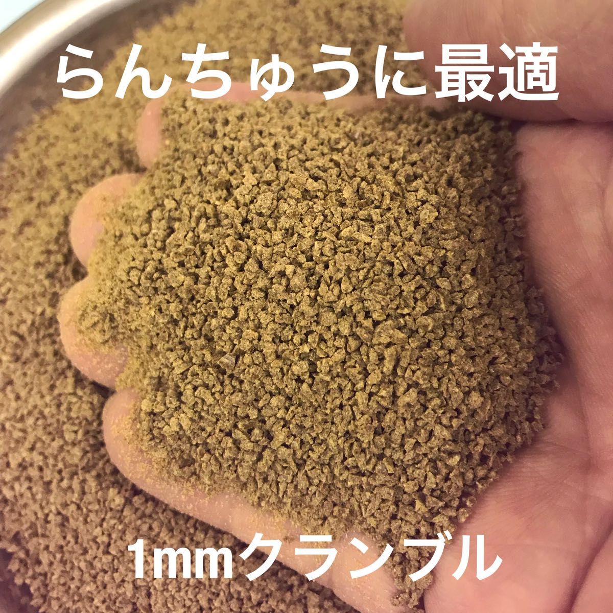 らんちゅうに最適 1㎜クランブル餌 500g入り 沈下性 金魚 錦鯉 小型魚に有効な餌です