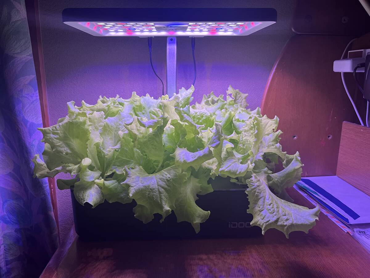 ☆水耕栽培 セット 室内 植物育成LEDライト付き