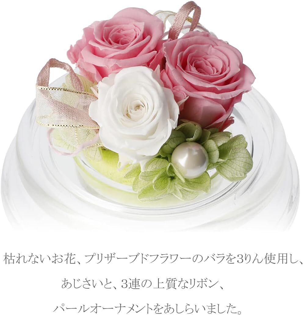  compact консервированный цветок подарок комплект po M ( розовый ) бесплатный подарок установка 