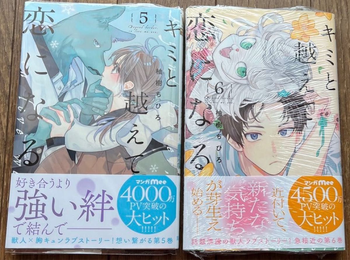 キミと越えて恋になる5巻・6巻【2冊セット・バラ売り不可】（マーガレットコミックス） 柚樹ちひろ／著