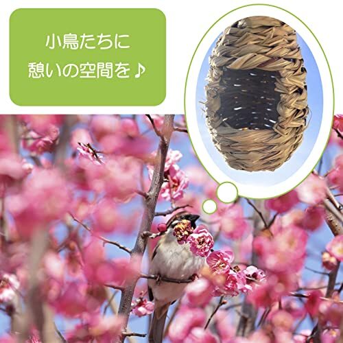 ASPALAND 小鳥 の 巣 ケージ 鳥かご 野 鳥 観察 吊り下げ 巣箱 バード ハウス インコ 寝床 (3個)_画像6