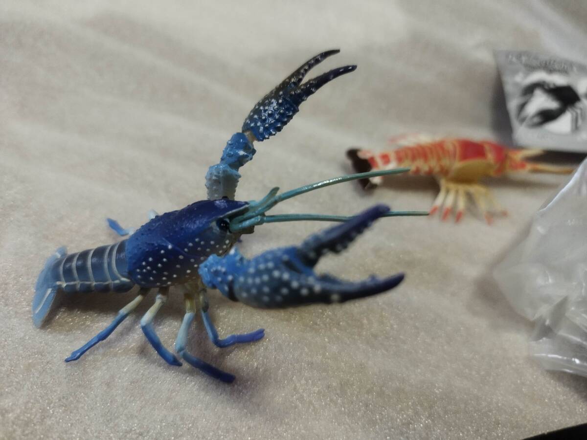ネイチャーフィギュアザリガニ甲殻類海洋堂チョコQSPアメリカ ネイチャーフィギュアザリガニ甲殻類海洋堂チョコQSPアメリカ