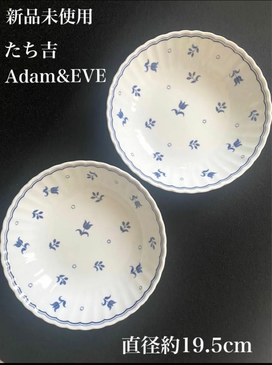 【新品未使用】たち吉　Adam&EVE カレー皿　パスタ皿　深皿　ボール　ペア