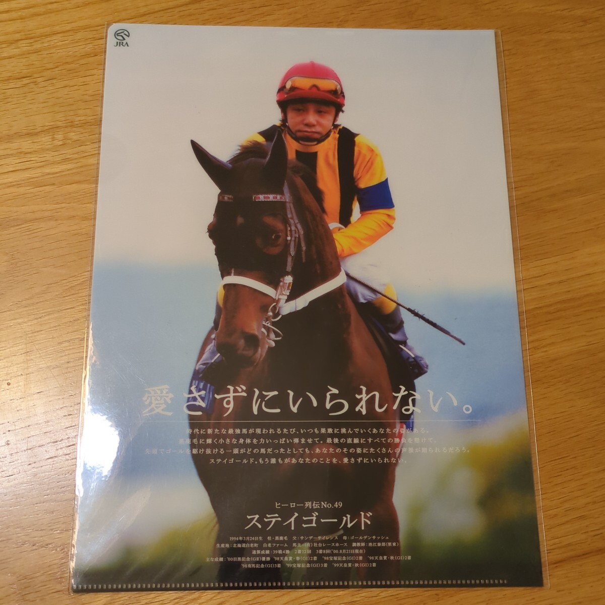 【新品未開封】JRA クリアファイル ヒーロー列伝 No.49 ステイゴールド A4クリアファイル 競馬 競走馬の画像1