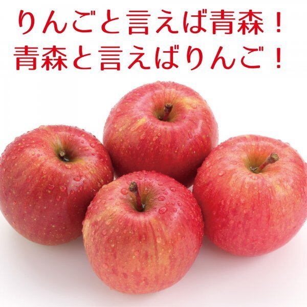 青森県産 家庭用 りんご サンふじ 訳あり 10kg 送料無料！の画像6