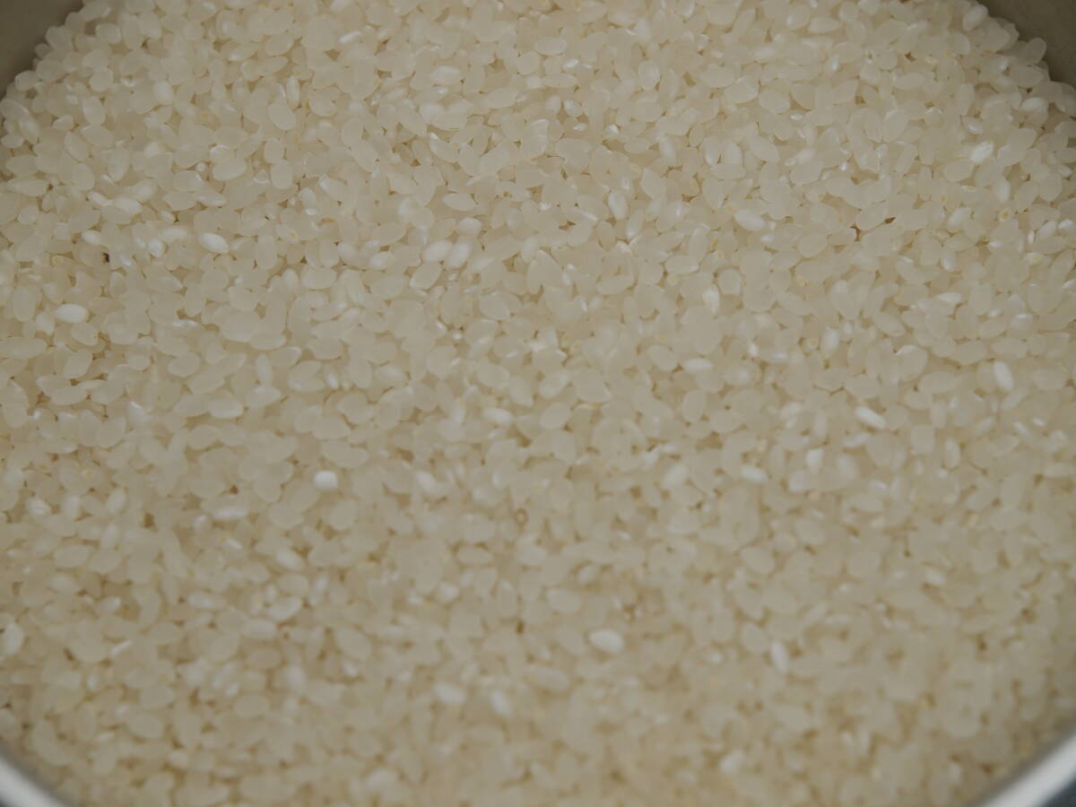 有機栽培米 令和5年 コシヒカリ 26.0キロ白米 送料無料_画像4