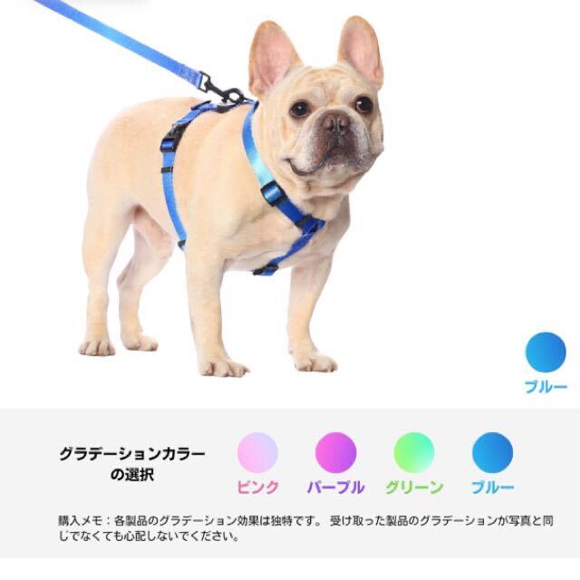 【新品】犬 リード グラデーション　青　M 高密度ナイロン製 可愛い ファッション 訓練 ジョギング 散歩用　犬用リード _画像2