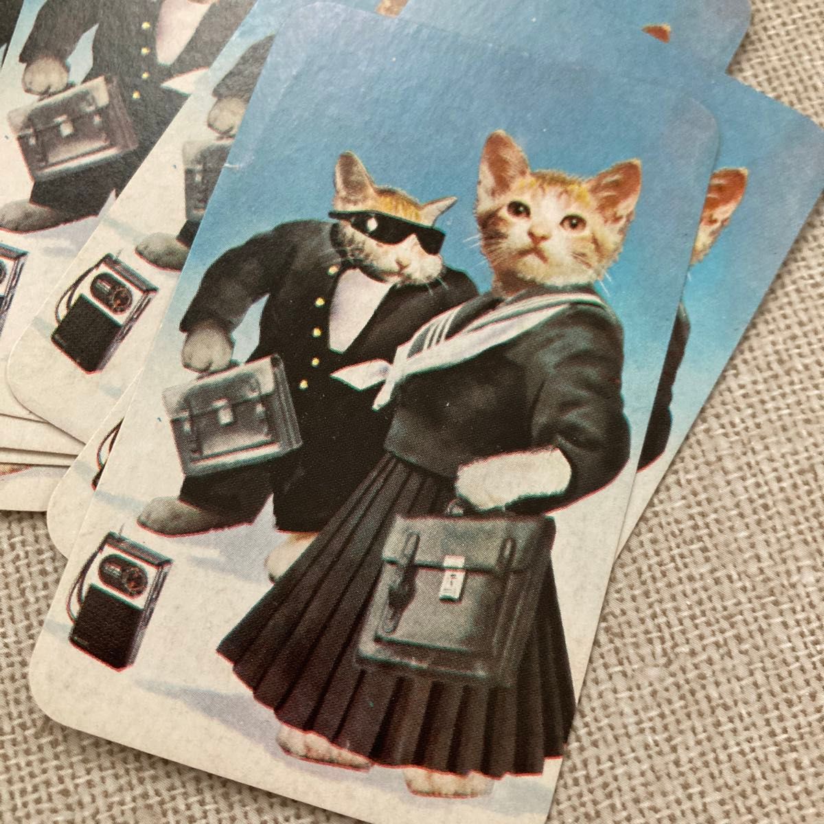 ねこトランプ なめ猫風 なめんなよ 昭和レトロ トランプ|Yahoo ねこトランプ なめ猫風 なめんなよ 昭和レトロ トランプ|Yahoo
