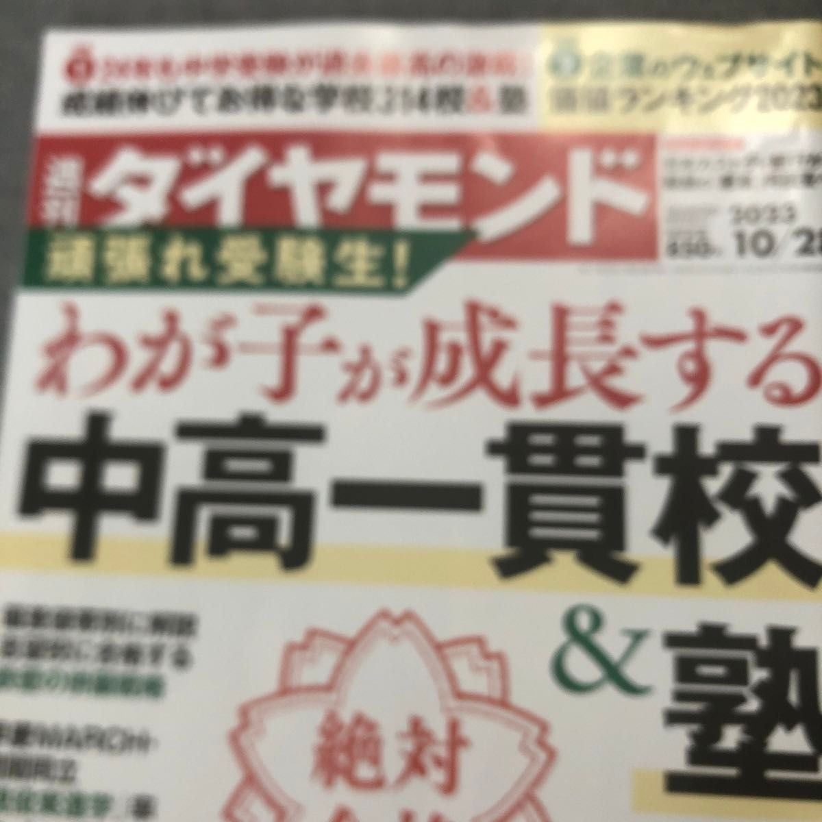 週刊ダイヤモンド ２０２３年１０月２８日号 （ダイヤモンド社）