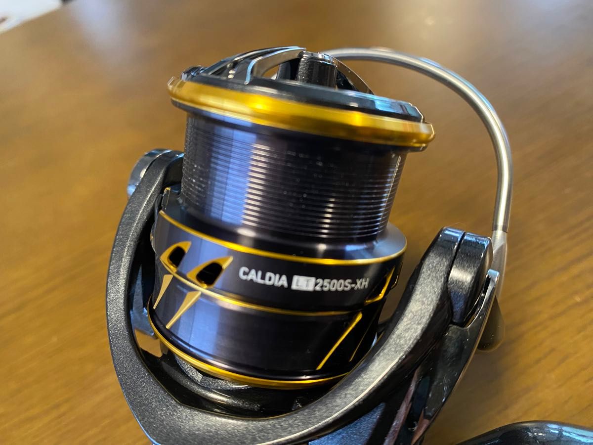 DAIWA 21カルディアLT2500S-XH 