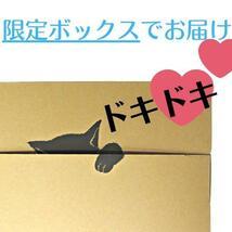 訳あり　送料無料　完熟紀州南高梅　しそ梅　1kg　袋入り　ポスト投函　和歌山県産　国産　インフルエンザ　梅干し　しそ漬け　し１_画像4