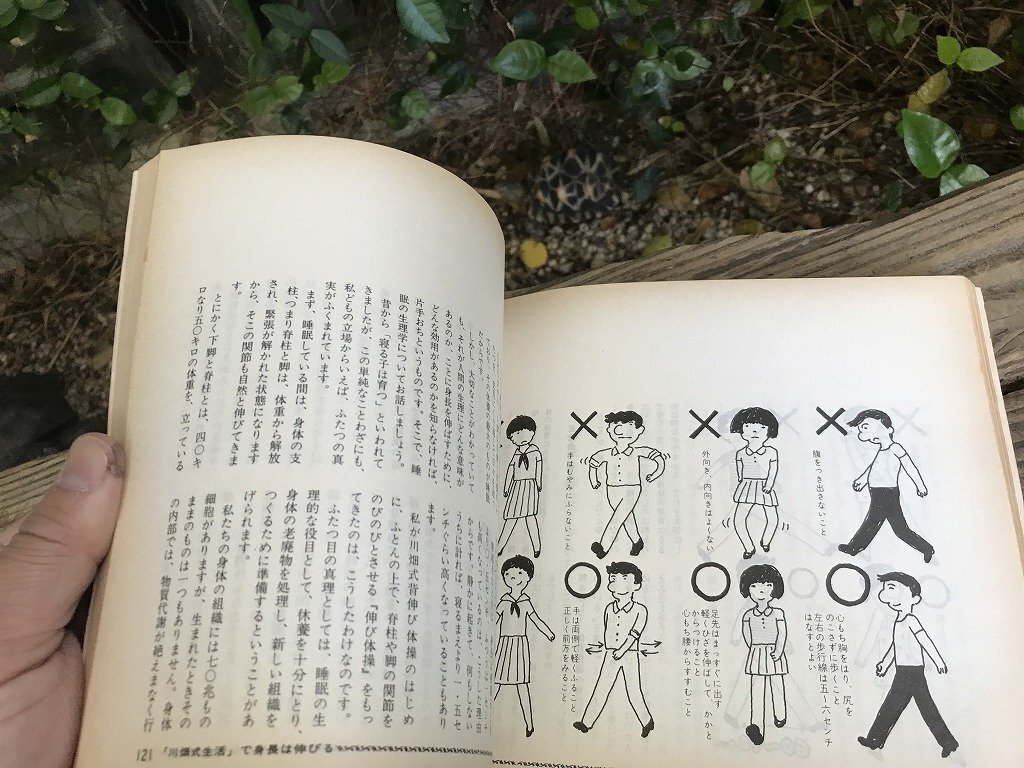 ★　昭和時代　希少　川畑式背伸び法　川畑愛義　背を伸ばす方法　高身長　悩み　身長を伸ばす　書籍　参考書　医療　医学　研究_画像4