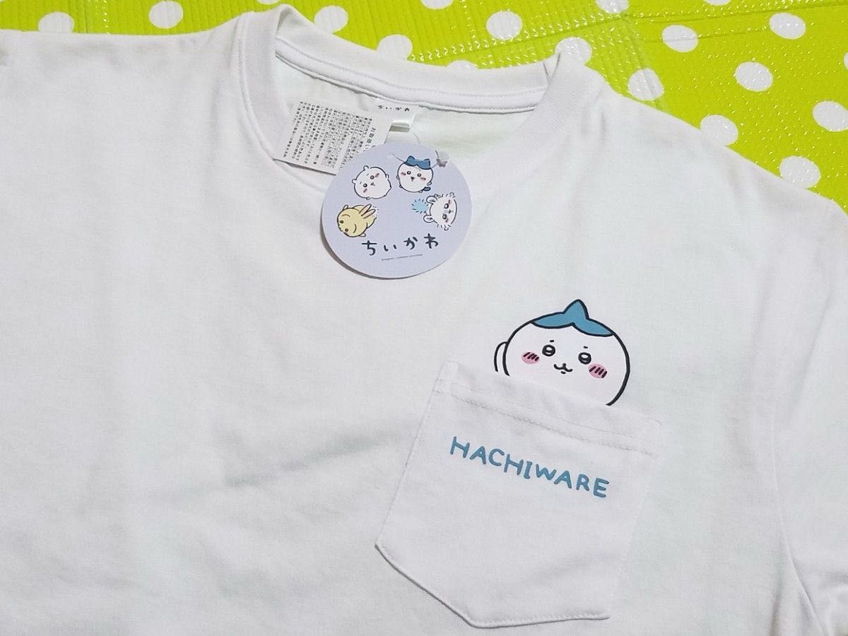 新品 ちいかわ メンズ 上下 セット アップ 半袖 Tシャツ M サイズ ハチワレ ツン パジャマ 部屋着 ルーム ウェア ナガノ