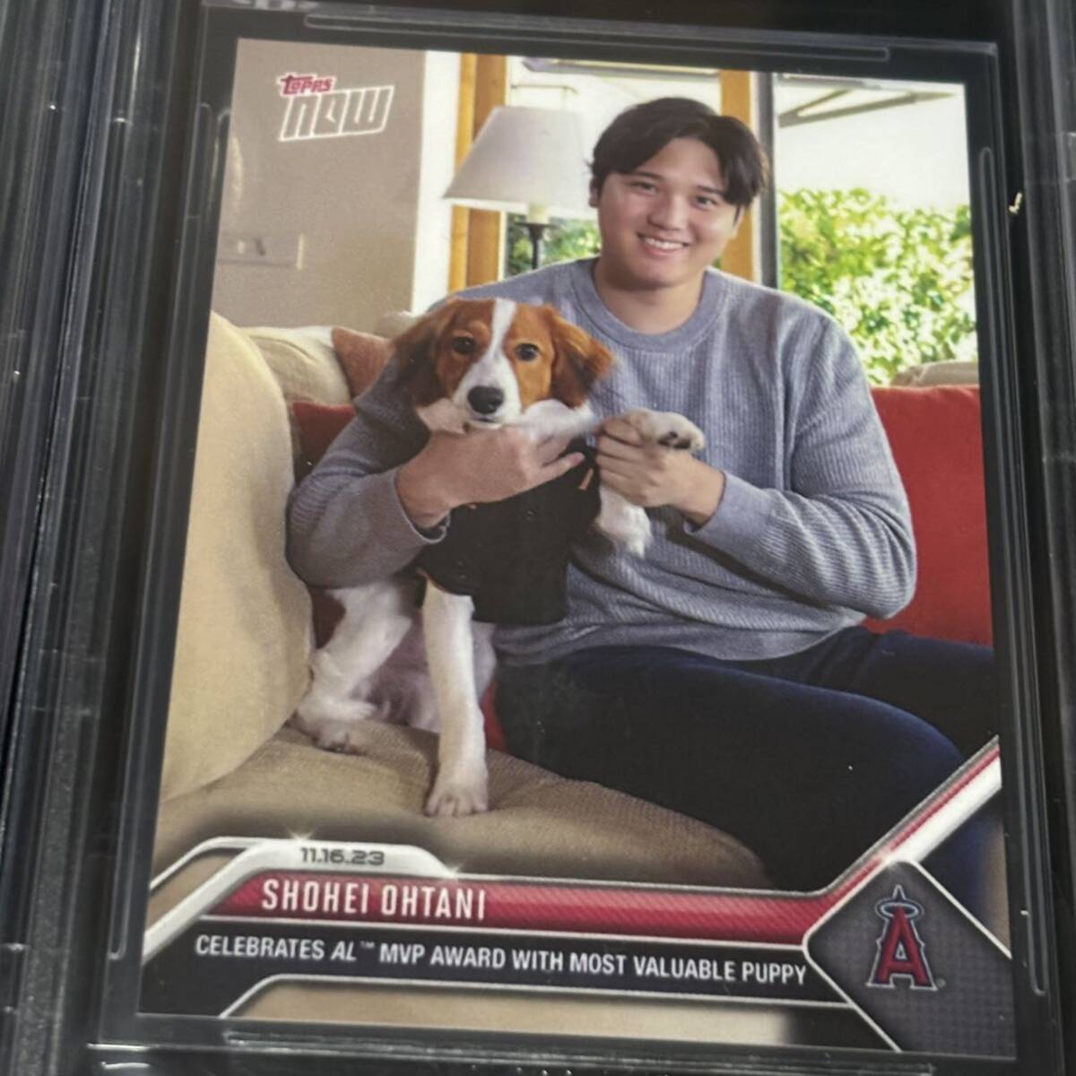 BGS 10 9.5 TOPPS NOW OFFSEASON OS19 Shohei Ohtani 大谷 翔平 デコピン 鑑定品 2枚セット ゴールドラベル_画像9