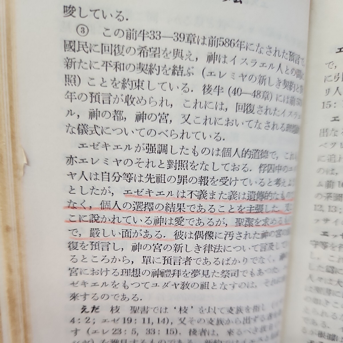 B54-024 NEW BIBLE DICTIONARY 聖書新辞典 新教出版社編 折れ、破れ、線引きあり 巻末に塗りつぶし、書き込みあり 小口、巻末に印あり_画像6