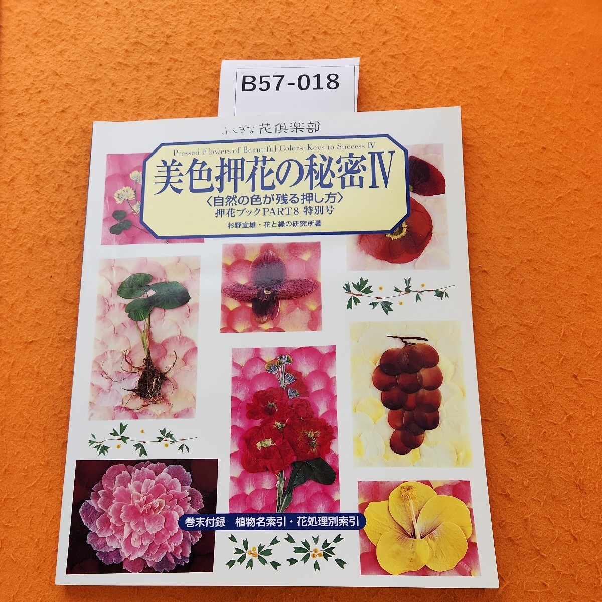 でおすすめアイテム。 識別カ】☆ まとめ落札歓迎 ☆ 古書 光学硝子の精密加工 光学 その他